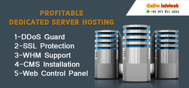 Elaborating For Cheapest Dedicated Server Hosting Plans That Provided Elaborating For Cheapest Dedicated Server Hosting Plans That Provided